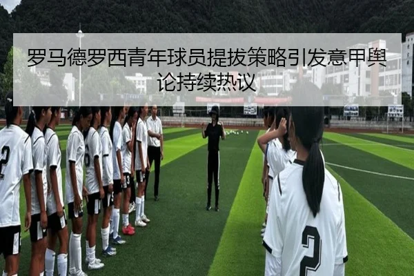 luo-ma-de-luo-xi-qing-nian-qiu-yuan-ti-ba-ce-lve-yin-fa-yi-jia-yu-lun-chi-xu-re-yi-2-252.jpg