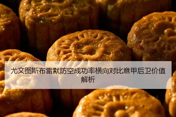 尤文图斯布雷默防空成功率横向对比意甲后卫价值解析